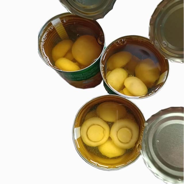 Canned  whole button mushroom brands can 425g