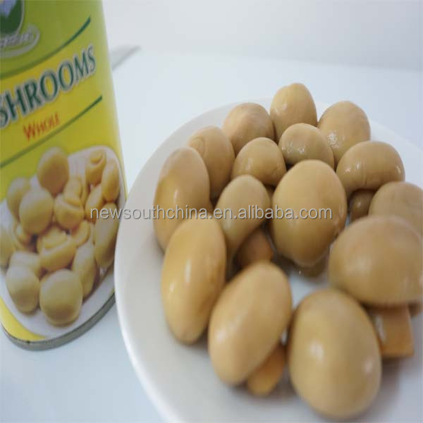 Canned whole button oyster mushroom 425g