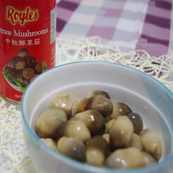 Canned whole button mushroom brands can 425g