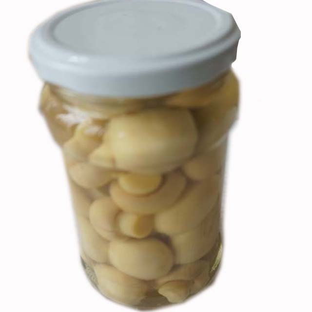 Best canned mushrooms  white bottom mushroom oyster mushroom  425g