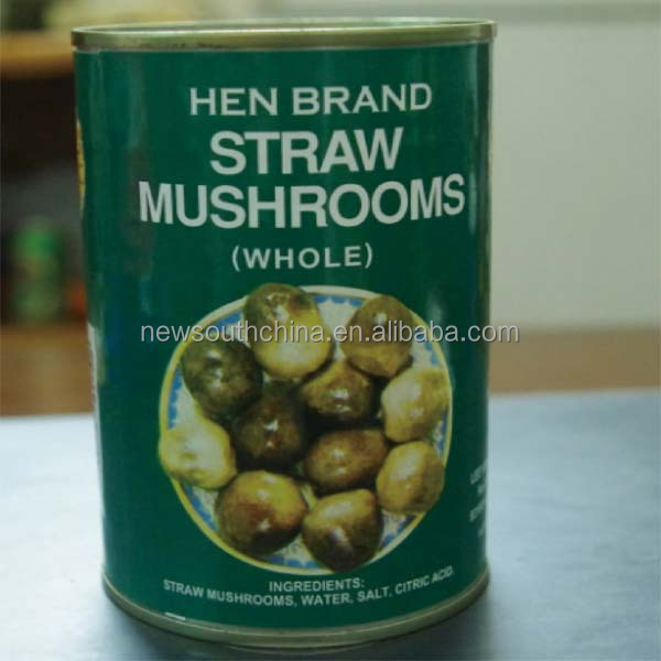 Canned whole button mushroom brands can 425g