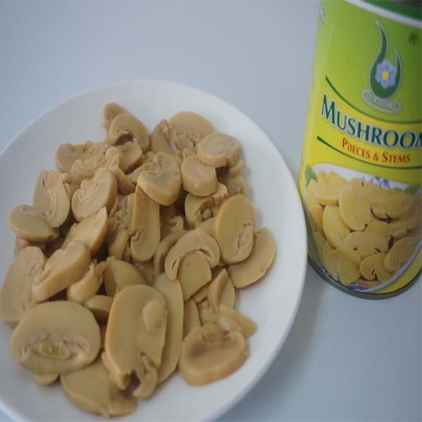 Canned mushroom whole button mushroom can 425g