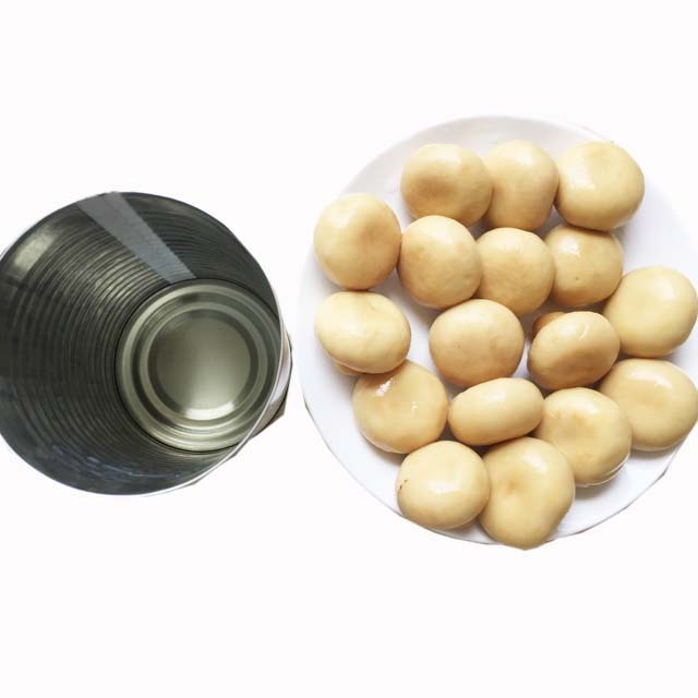 Canned champignon mushroom  button mushroom  425g