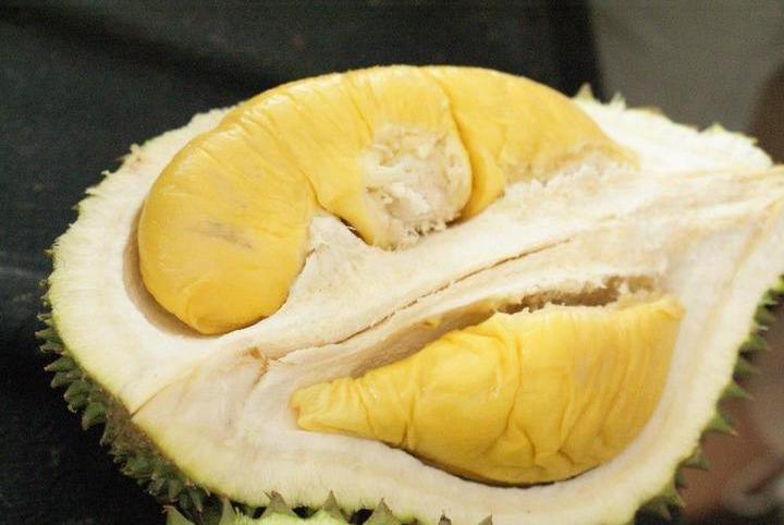 FRESH DURIAN HIGH QUALITY COMPETITIVE PRICE FROM VIETNAM NEW CROP 2023