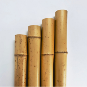 Natural bamboo poles from Vietnam's bamboo forests bring a more natural organic feel to garden farm and plant stand applications