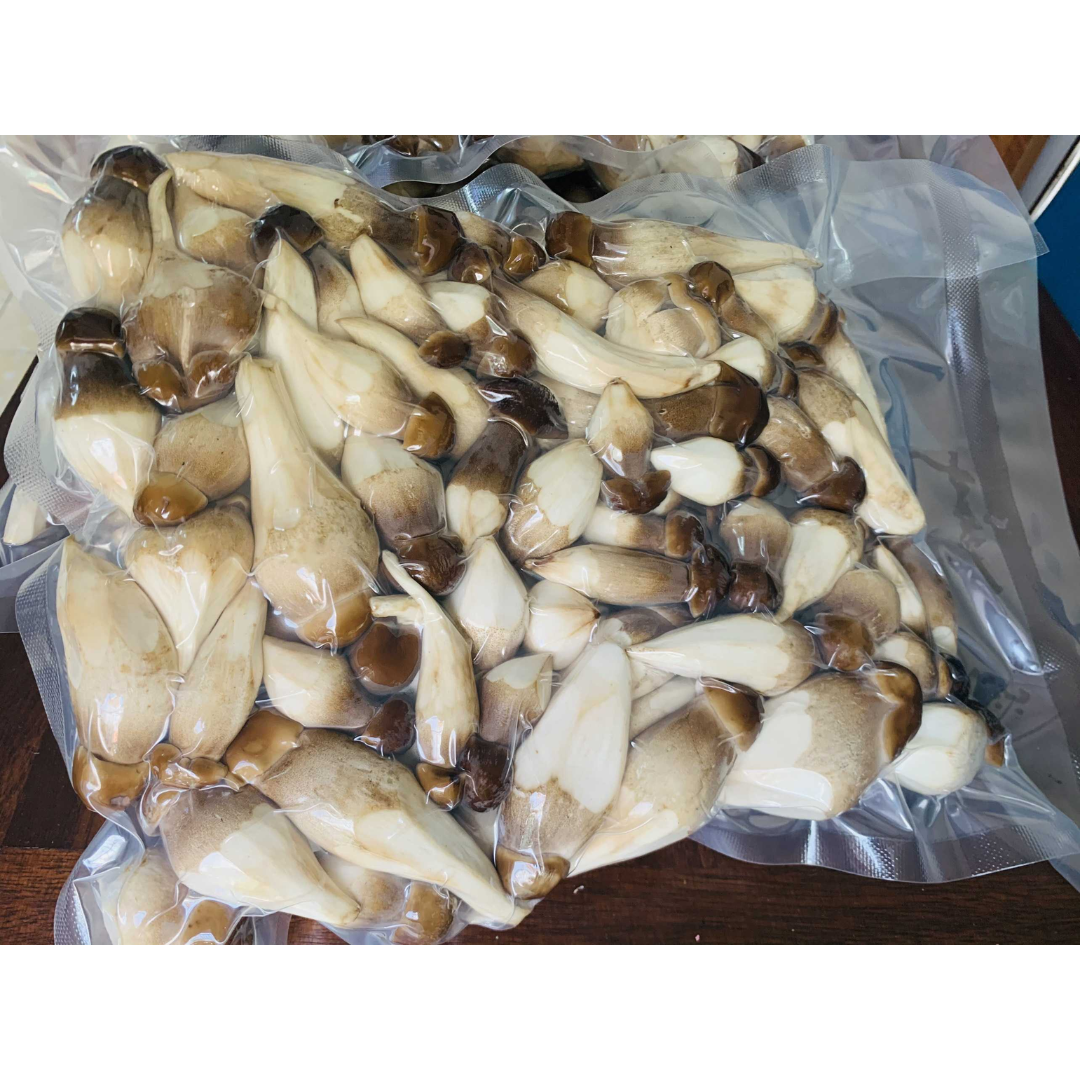 Wholesale Factory Price Fresh Mushroom Black Termite Mushroom For Sale Manufacturer From Vietnam