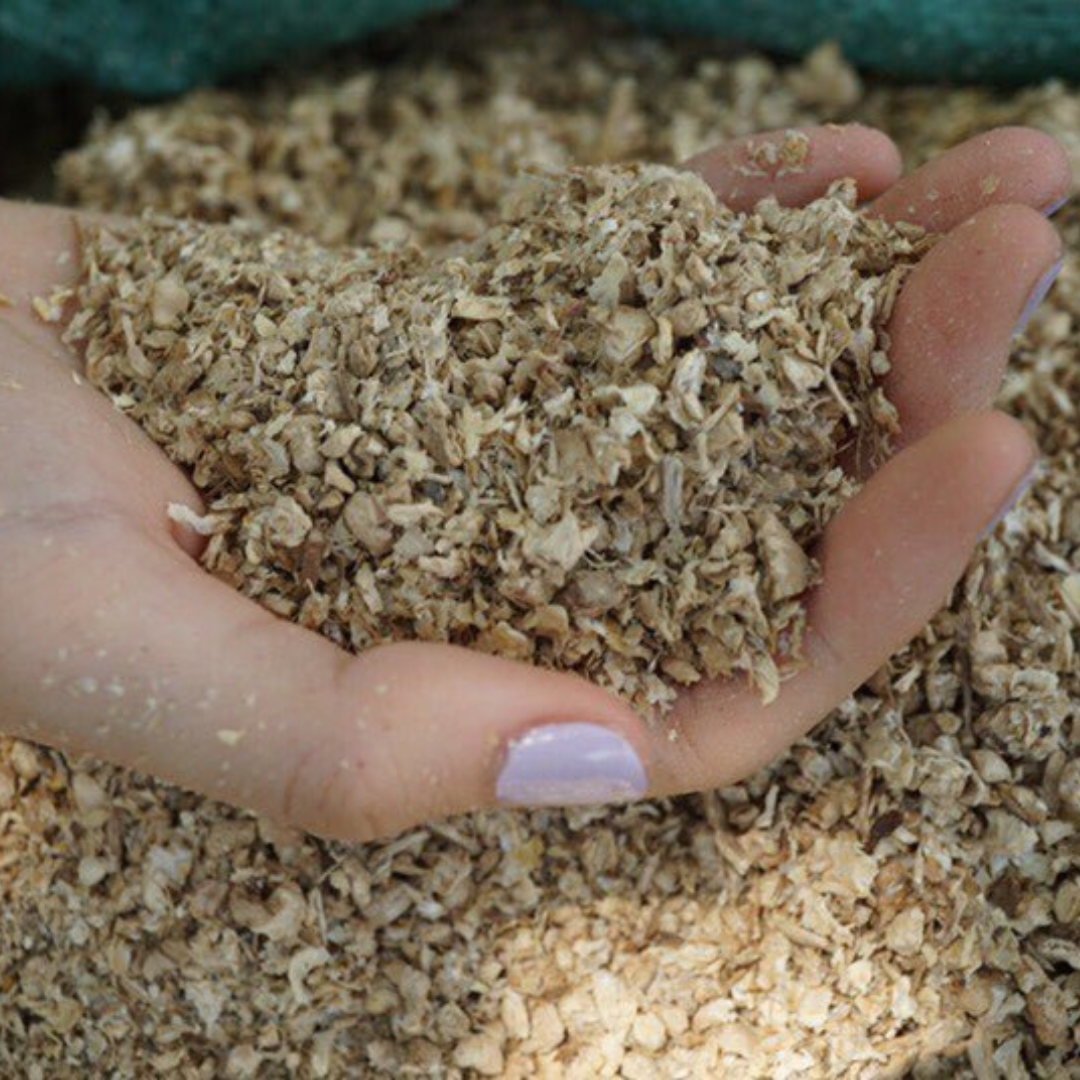 Vietnamese Supplier wholesale Corn Cob Meal Corn Cob for Mushroom For Animal Feed Dried Corn Cob