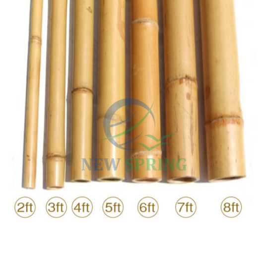 Vietnam Supplier Wholesale Natural Material Bamboo Poles Bamboo Stake  For Gardening Building