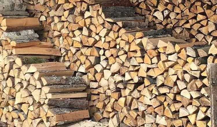 Kiln Dried Spruce Firewood from Vietnam High Quality at Affordable Price