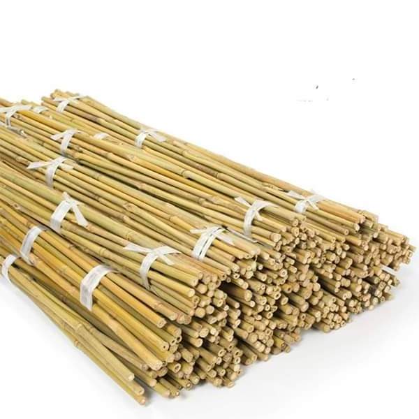 Bamboo Stakes or Bamboo Cane Pole Cheap Price Vietnam Supplier bamboo