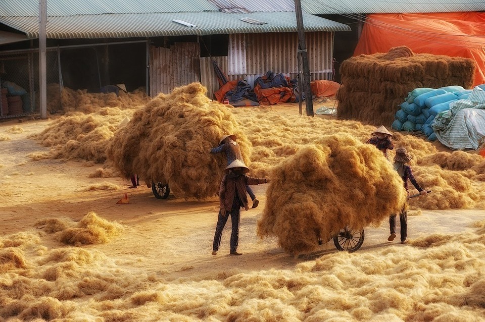 Professional Exporter With Coconut Husk Fibre Material Wholesale Coco Coir Fiber Sheet