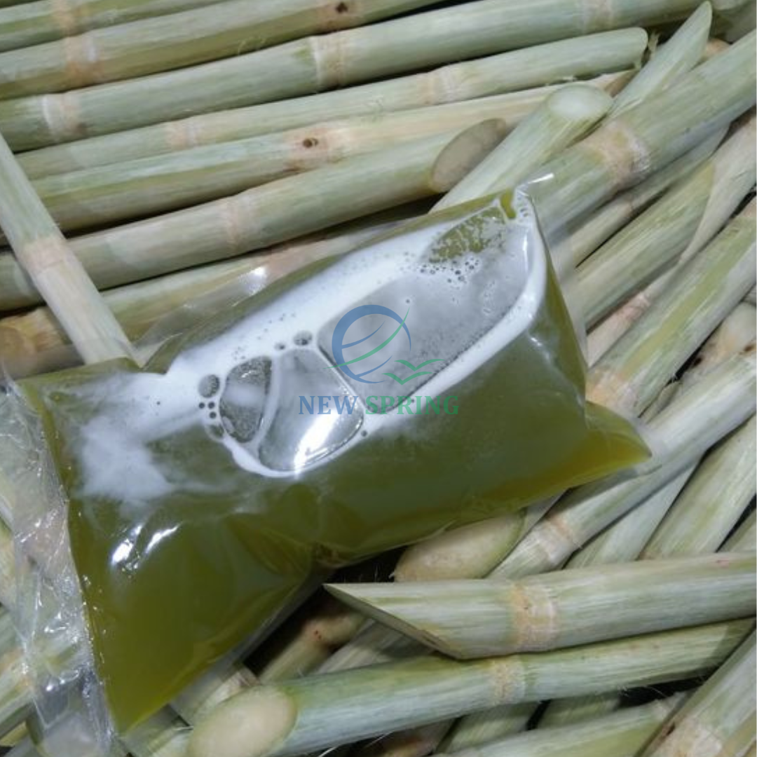 Best Seller Frozen Sugarcane Juicy Sugar Canes With Cheap Price From Factory In Vietnam for Food & Beverage