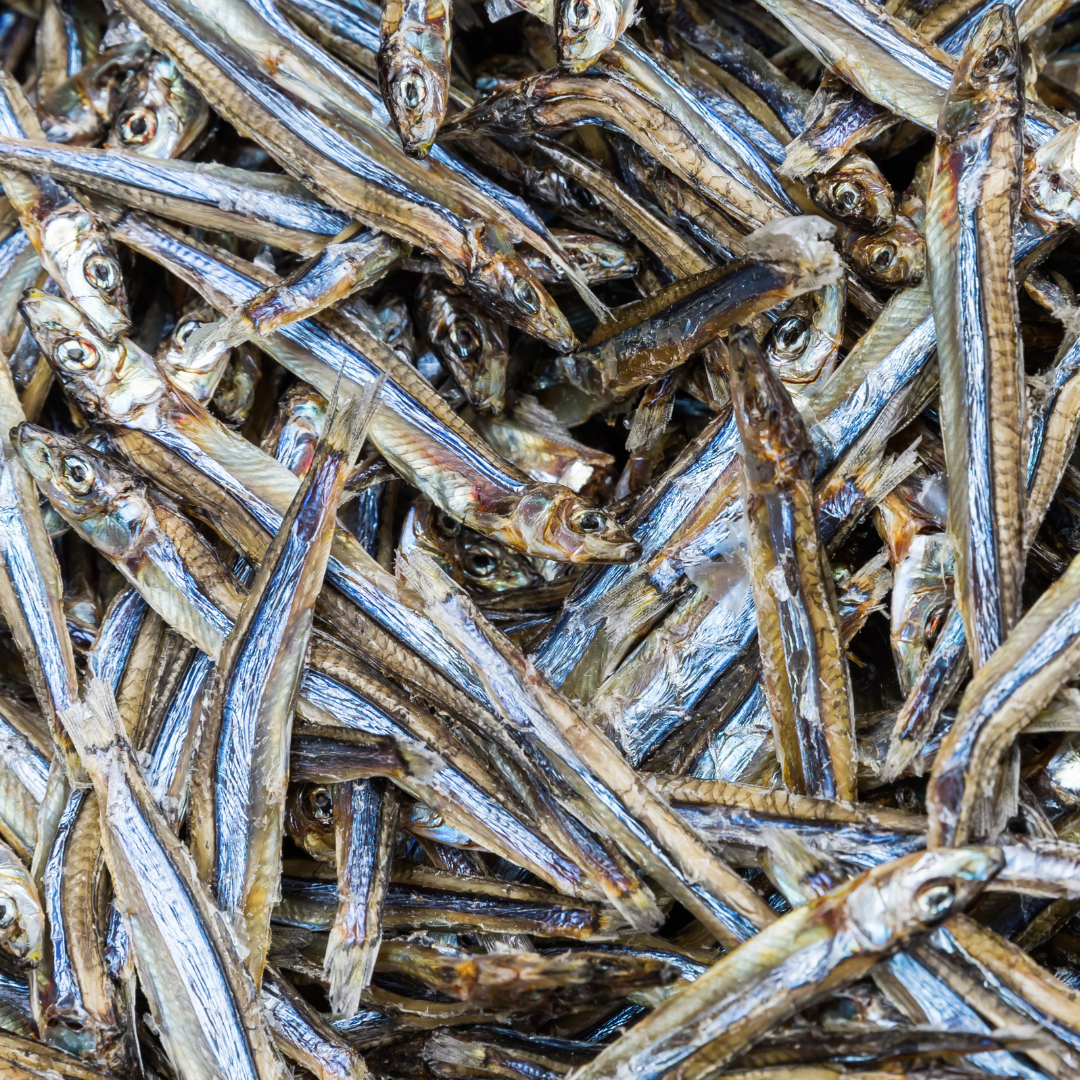 Health Food Low Calories Dried Anchovy Fish Dry Salted anchovy With Affordable Price Natural Product From Vietnam