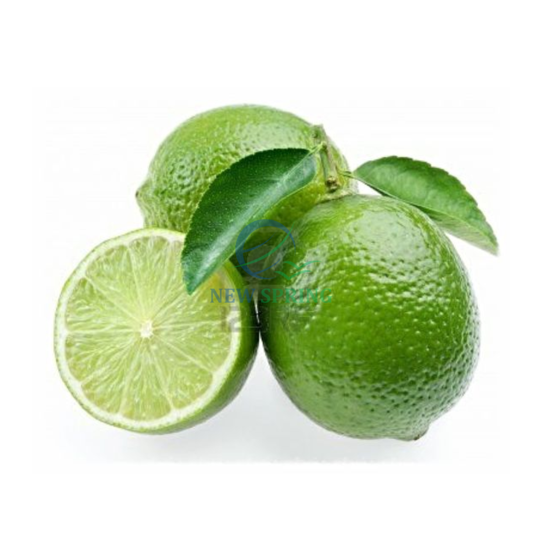 2023 Fresh Lemon Green Lemon  From Viet Nam Ready To Ship