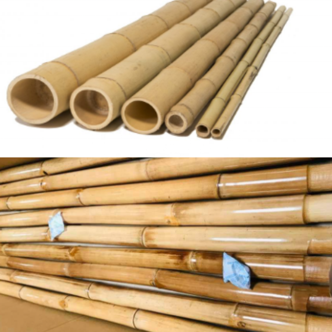 Bamboo Stakes or Bamboo Cane Pole Cheap Price Vietnam Supplier bamboo