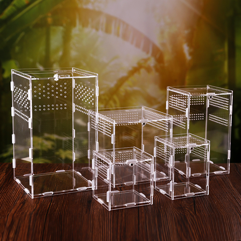 Acrylic Cage Reptile Insect Tarantula Enclosure Tank Tall Enclosure Transparent Reptile Breeding Box