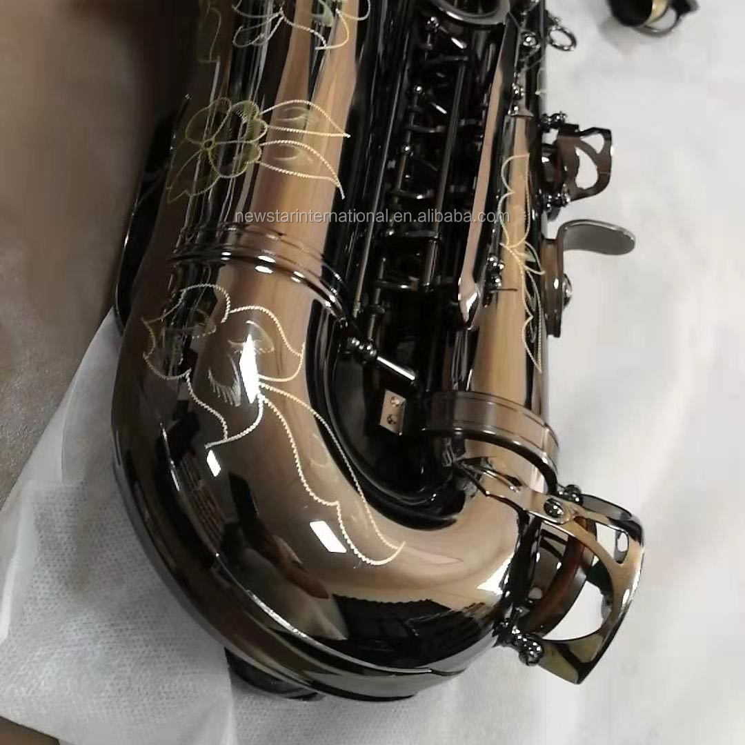 Black Alto saxophone HSL-1001BN