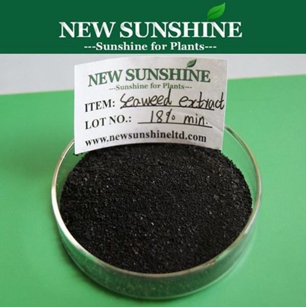 Organic Seaweed Extract Alga Powder Fertilizer