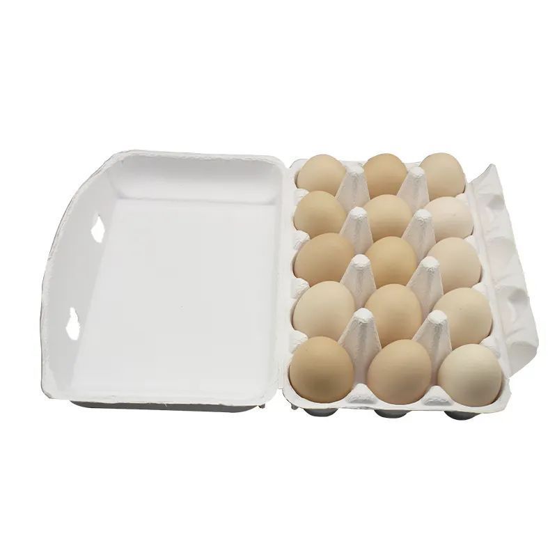 Wholesale Eco-Friendly 3*5 Bulk Egg Tray 10-15 Egg Carton Box for Chicken Eggs Food Print & Waste Made from Paper and Pulp