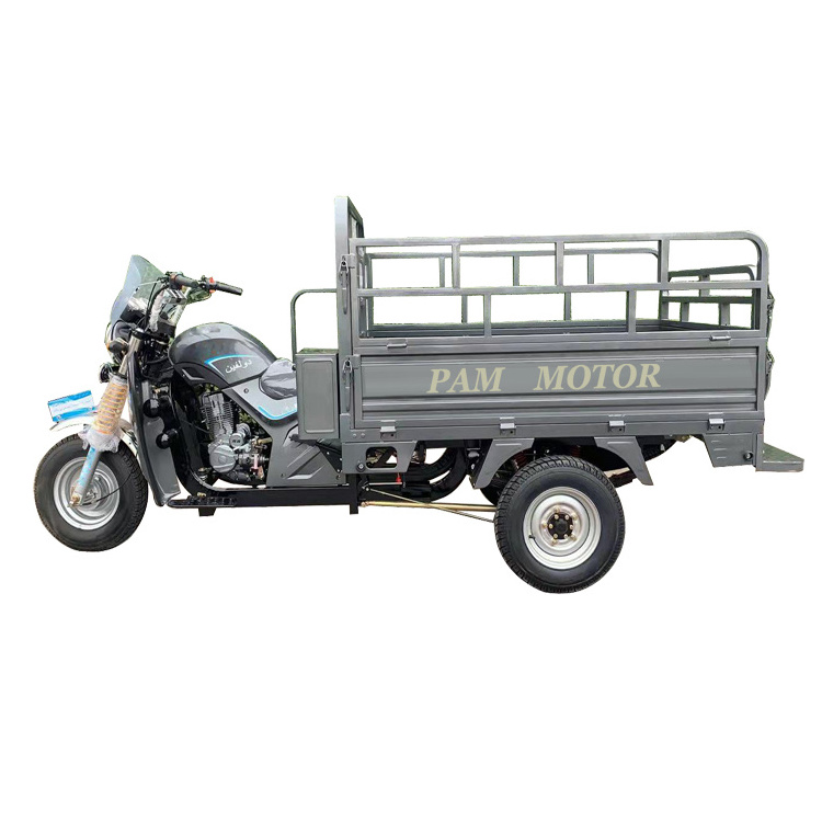 Water Cooled 3 Wheeler Gas Motorized Tricycle super high quality motorised cargo tricycle