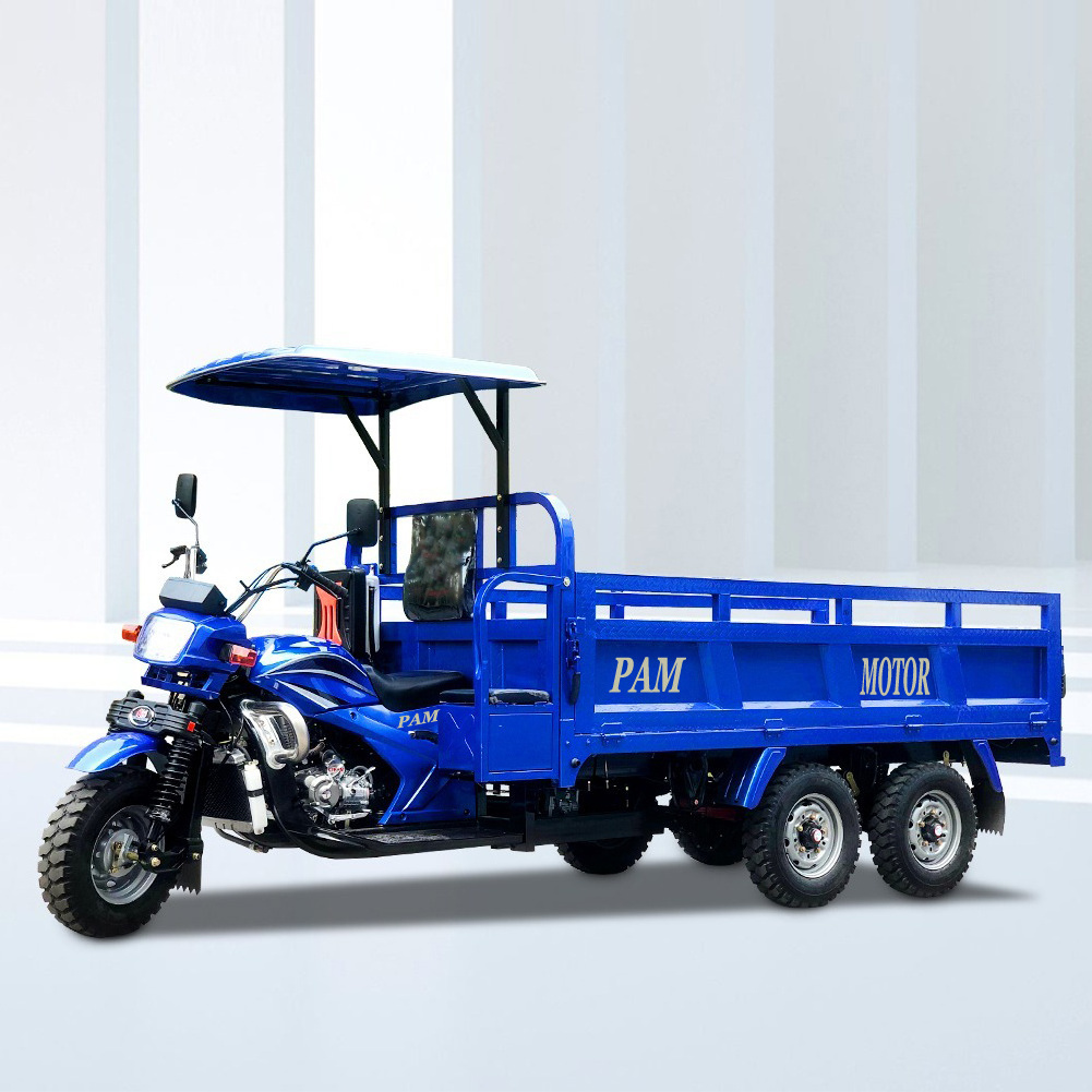 DAYANG 300cc Double Rear Axle motorized Tricycle Vehicle Heavy Loading 5 Wheels Cargo Tricycle