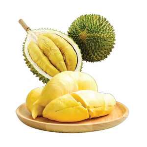 Tropical Fruits Delicious Popular Durian Brand Ready To Export Vietnamese Durian Seed