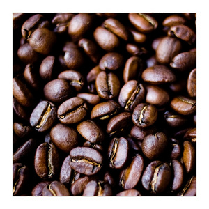 2024 Premium OEM ROBUSTA GRADE 1 - SCREEN 18 - WET POLISHED whole bean for March Expo from selected Vietnam suppliers