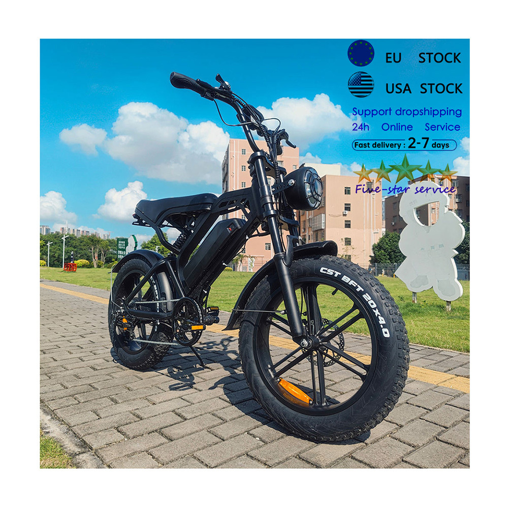 V20 electric cargo bike elettrica mtb ebike electric fatbike fat tire electric bike