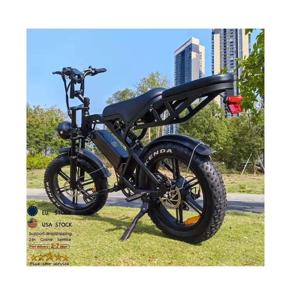 cheap electr bike price V20 pro enduro ebike EU Stock 250w fat tire e bike V20 Fatbike V20 electric bike V20