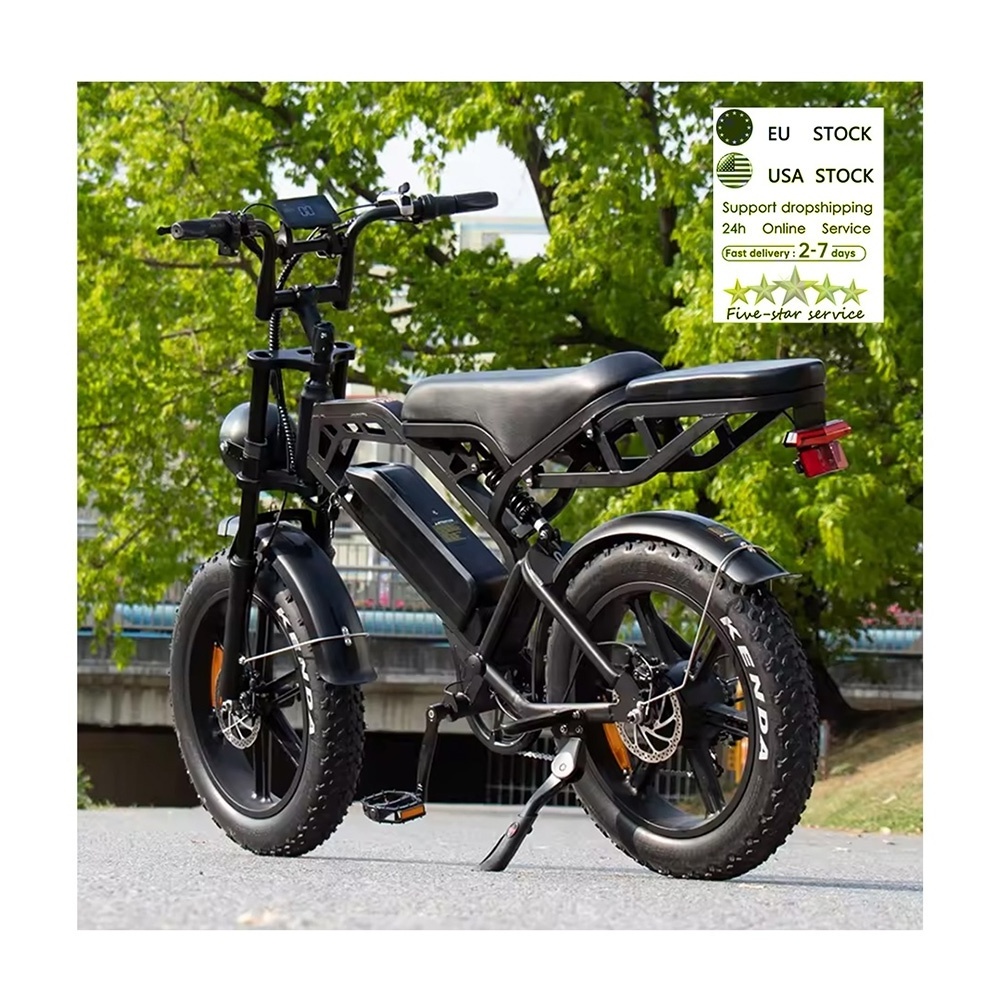 cheap electr bike price V20 pro enduro ebike EU Stock 250w fat tire e bike V20 Fatbike V20 electric bike V20