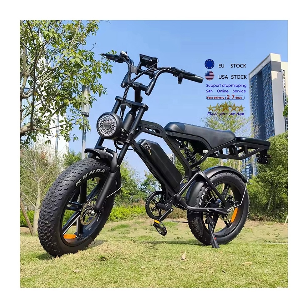 cheap electr bike price V20 pro enduro ebike EU Stock 250w fat tire e bike V20 Fatbike V20 electric bike V20