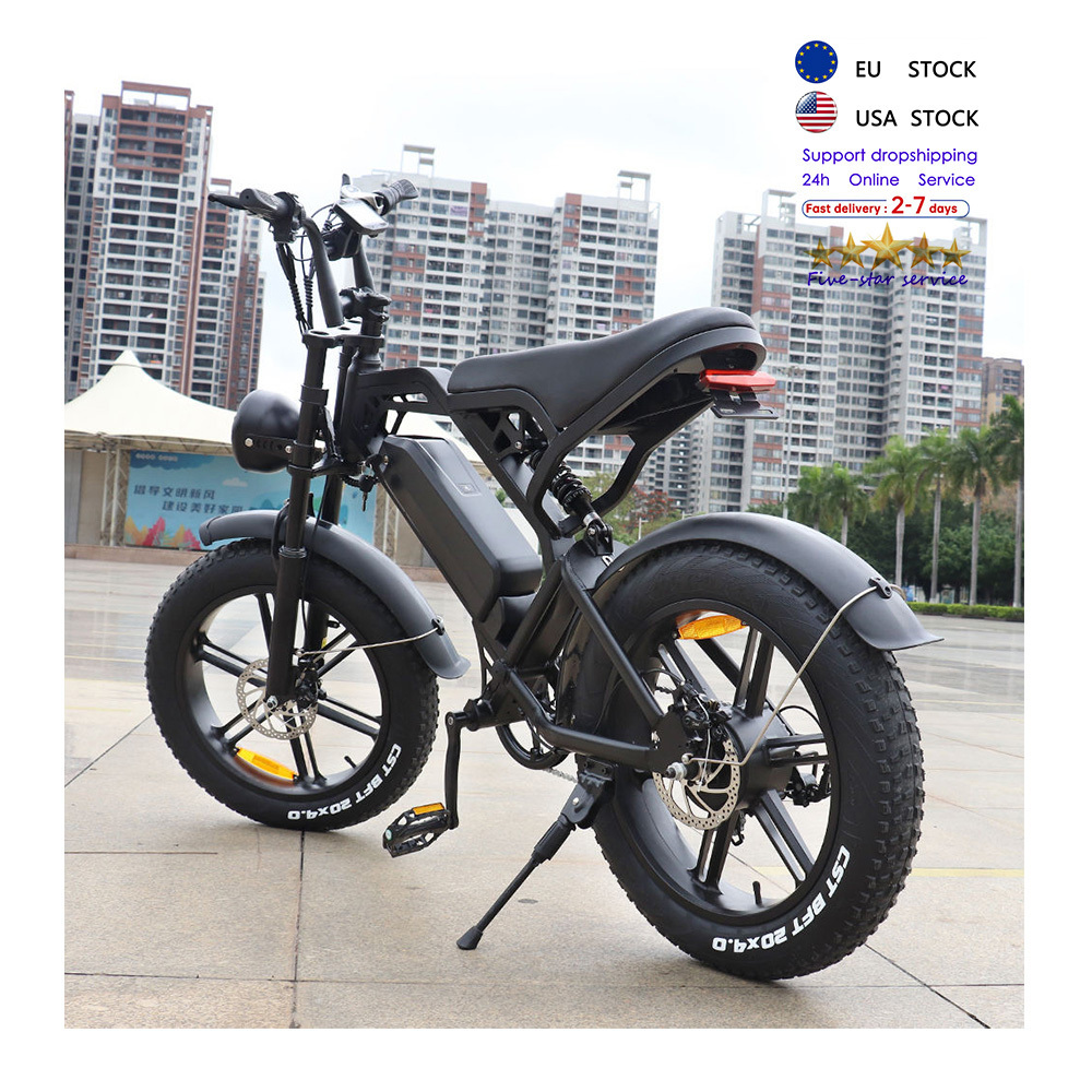 V20 electric cargo bike elettrica mtb ebike electric fatbike fat tire electric bike