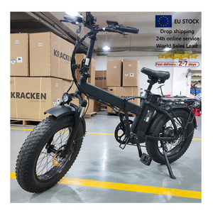 Cheap Price 20 Inch 500W 750W 48V 10AH Shimano 7 Speed Folding E Bike Fat Tire Electric Bike DZ-2001