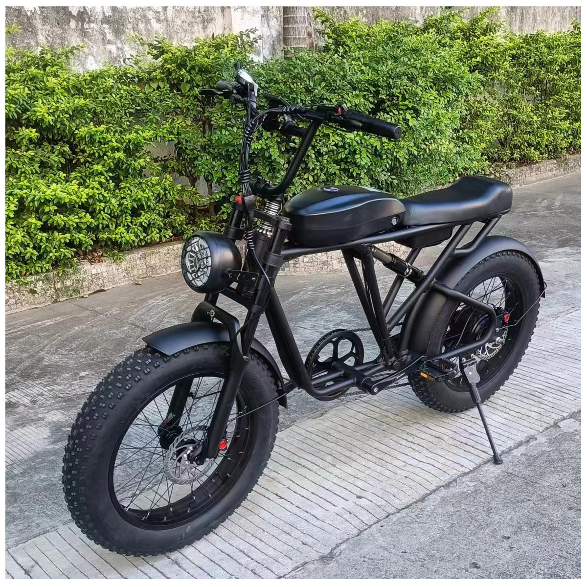 750w Motor Bike Electric Kit Double Disc Brake Best Electric Bike Fat Tire Mountain Ebike Kits Price in France