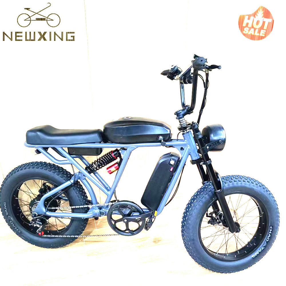 750w Motor Bike Electric Kit Double Disc Brake Best Electric Bike Fat Tire Mountain Ebike Kits Price in France