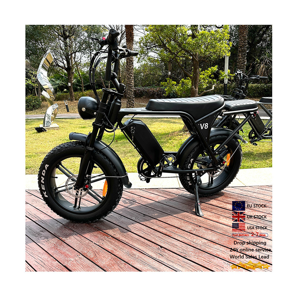 20inch fatbike electric bike of family cargo ebike 48v 250W/750w lithium battery electric motorcycle OUXI V8 electric bicycle