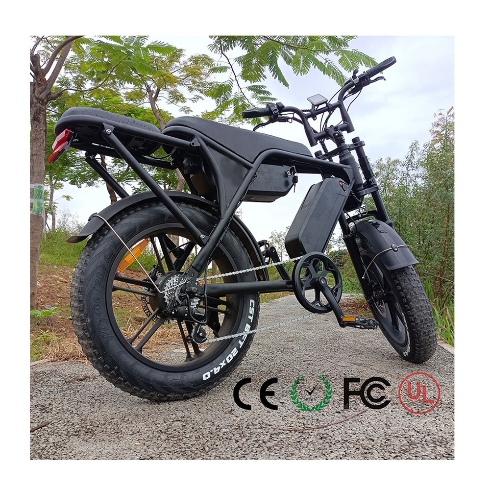 Bicicleta electrica 250W fat tire e bike 20inch fat tire electric bike enduro ebike hybrid V8 Max bicycle electric bicycle