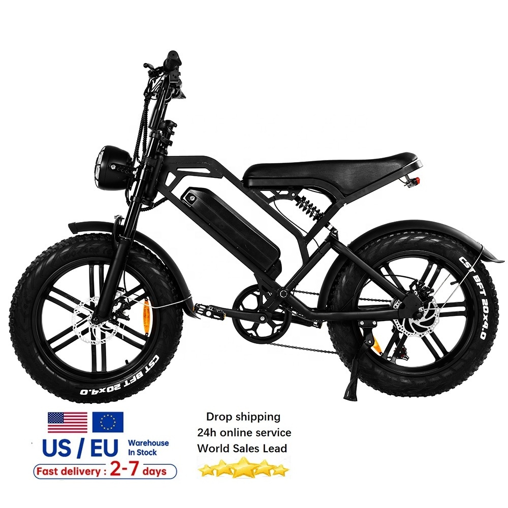 dual motor electric bike enduro ebike bisicletas electric bicycle elektro motorrad tandem V20 fat bike electric fat biked