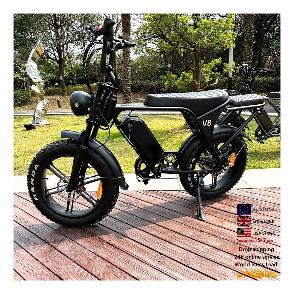 Double seater 250W/750W motor ebike Fatbike Mountain electric motorcycle e bike electric fat electric bicycle Big Tyre V8 3.0