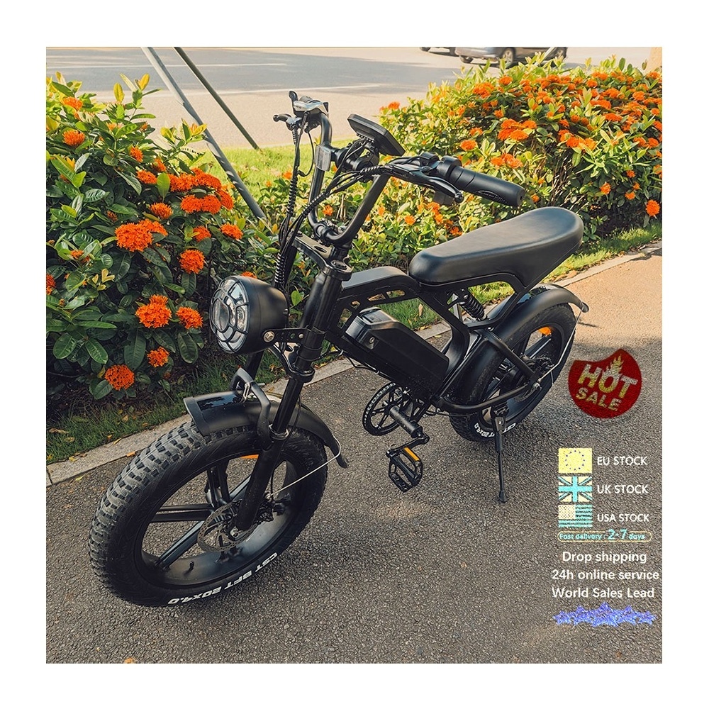 V20 Electric Bike V20 7 Speed E-bike 250W Electr bike V20 fatbike V20 City Hybrid Mountain Bicycle Off Road ebike