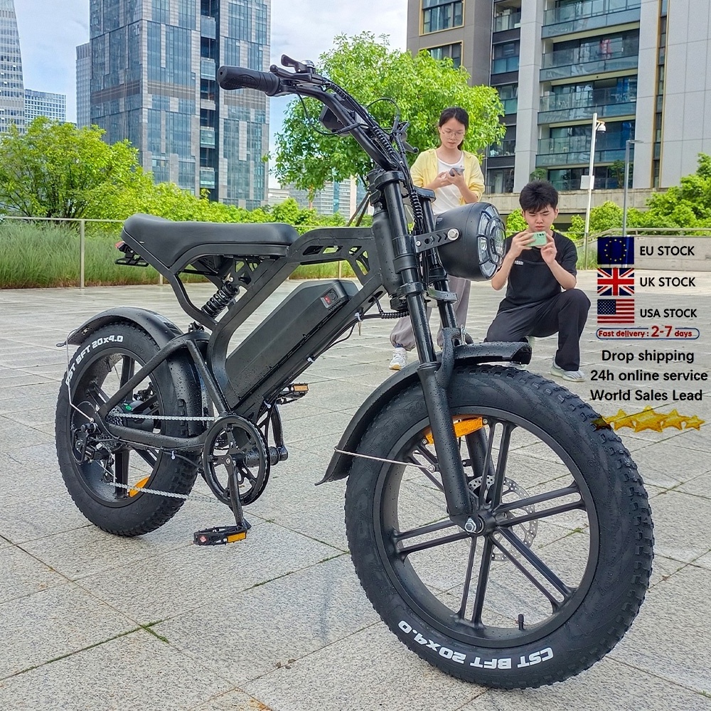 dual motor electric bike enduro ebike bisicletas electric bicycle elektro motorrad tandem V20 fat bike electric fat biked