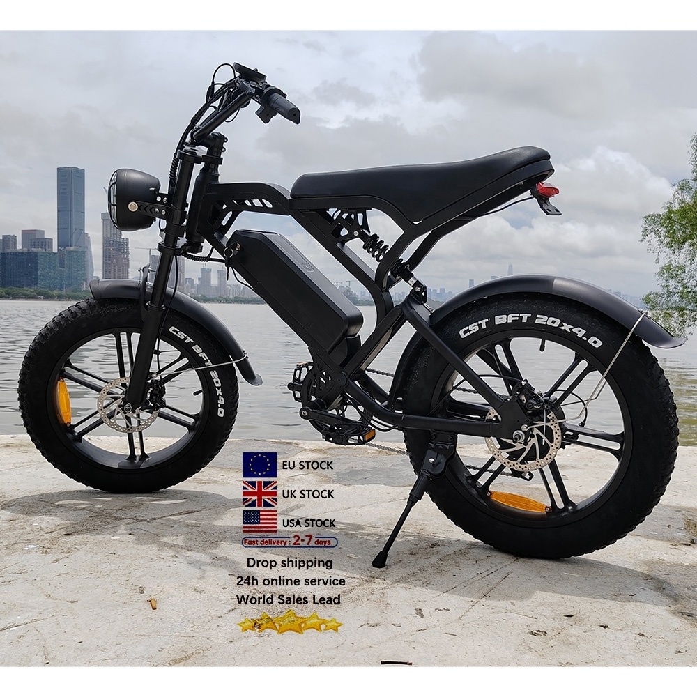 Cheap Fat Tire V20 Mountain electric bicycle Mtb Big Tyre Bike Ebike Retro electric Bicycle V20 electric bike