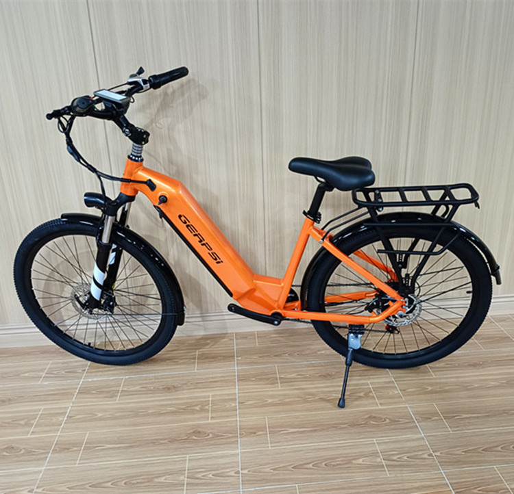 EU Warehouse Electric Dirt Bike 1000W Folding 48v 20inch Mountain Bike Fat Tire Electric Bicycle Beach Snow e Bike DS2608