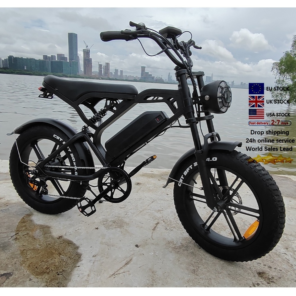 Cheap Fat Tire V20 Mountain electric bicycle Mtb Big Tyre Bike Ebike Retro electric Bicycle V20 electric bike