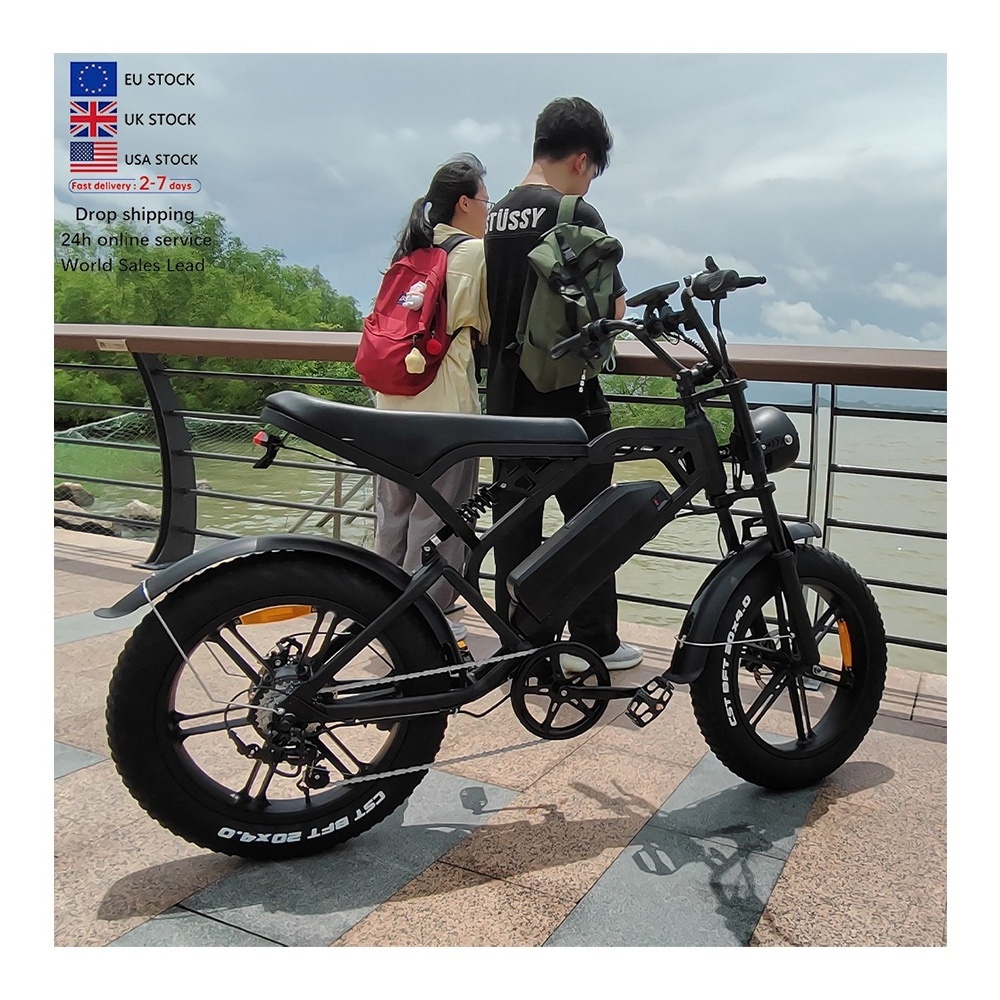 cheap electric bike adult 250W/500W folding ciclismo electric bicicleta electrica para adultos dirtbike V20 elektro fahrrad