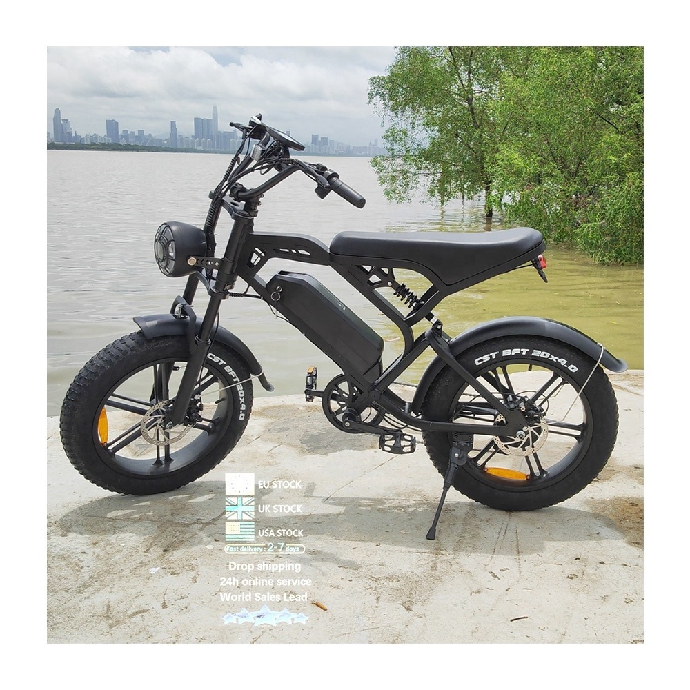 V20 Electric Bike V20 7 Speed E-bike 250W Electr bike V20 fatbike V20 City Hybrid Mountain Bicycle Off Road ebike