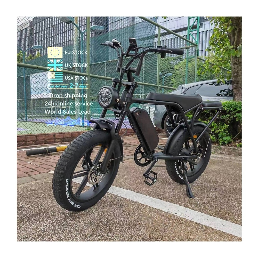 Double seater 250W/750W motor ebike Fatbike Mountain electric motorcycle e bike electric fat electric bicycle Big Tyre V8 3.0