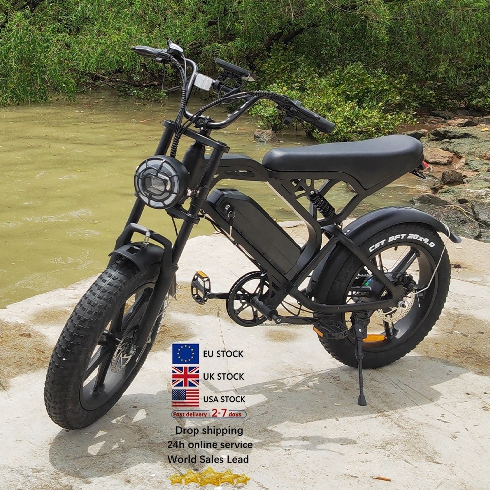 dual motor electric bike enduro ebike bisicletas electric bicycle elektro motorrad tandem V20 fat bike electric fat biked