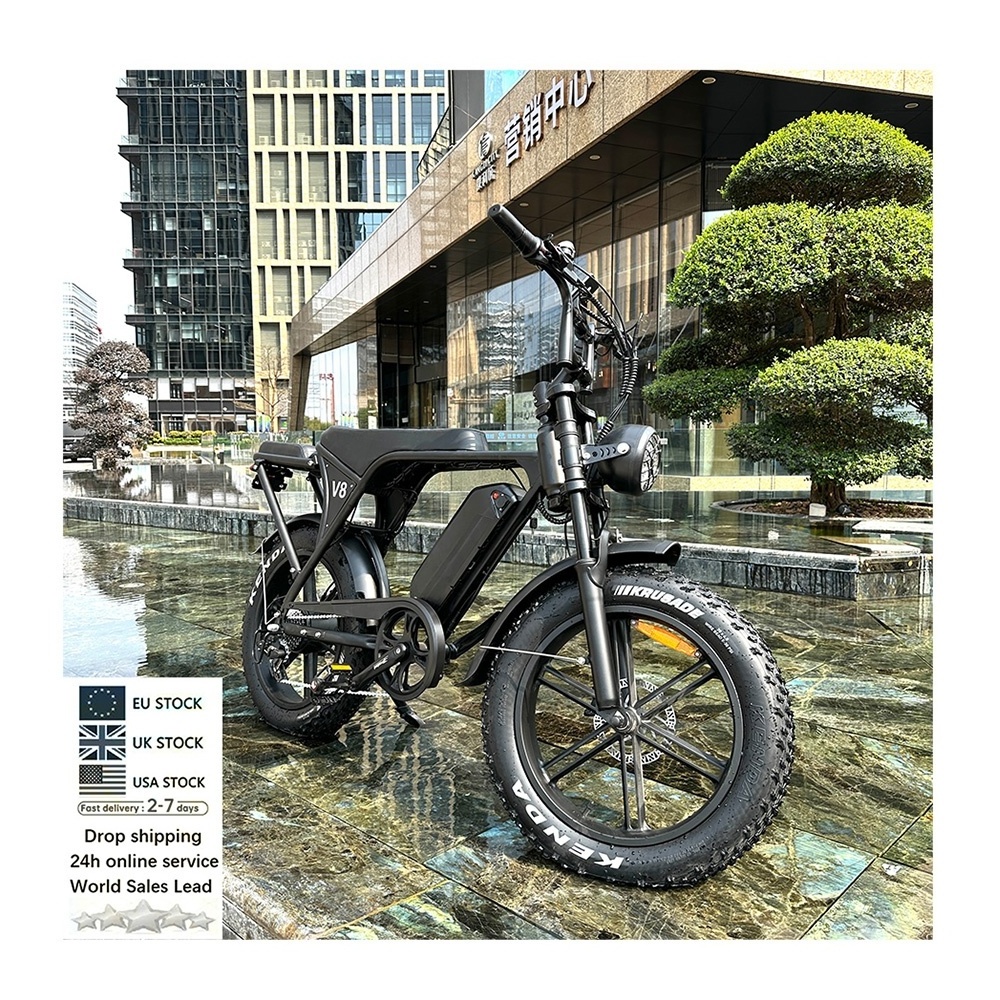 3.0 City electric bike 20