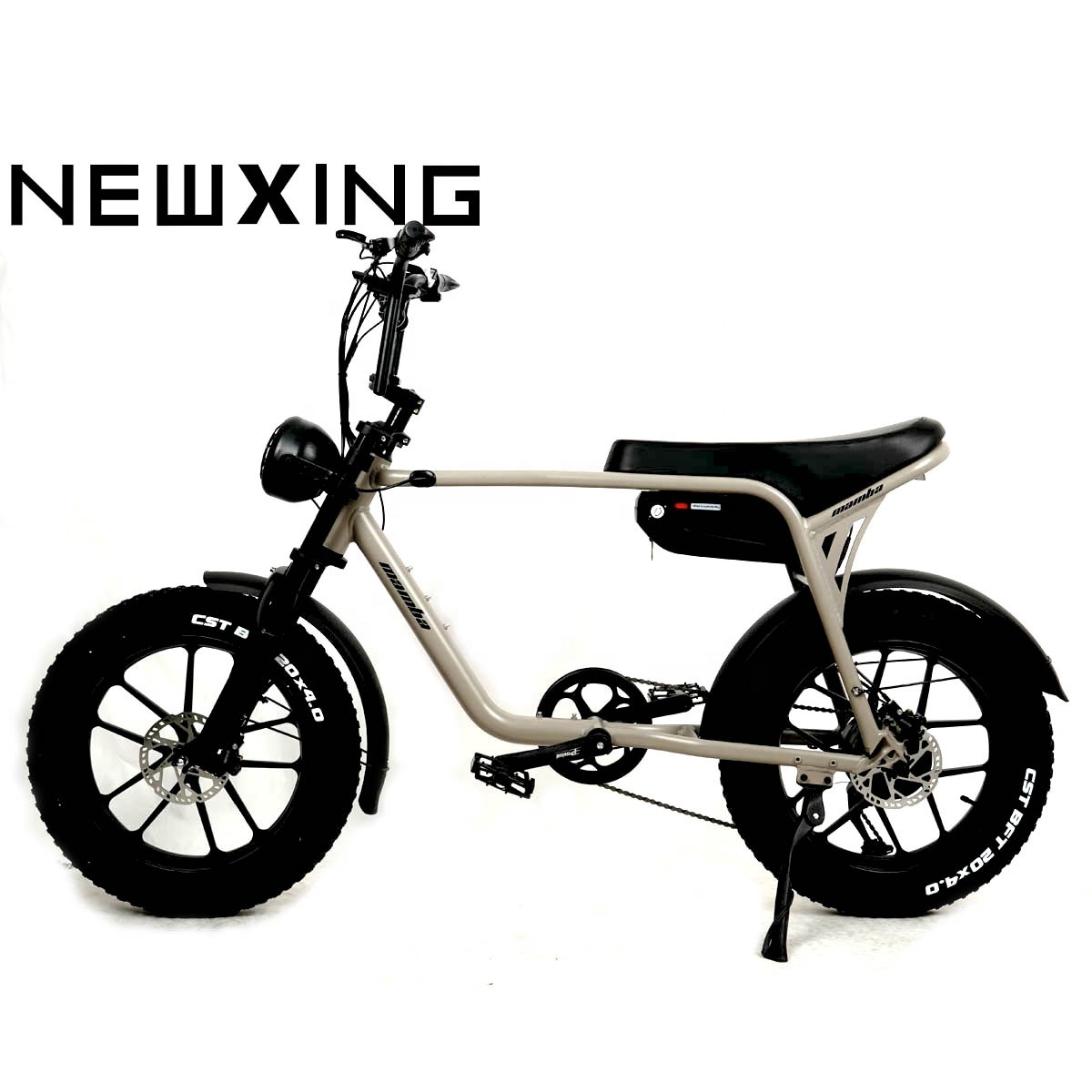 MTB all Terrain SUV Bike NK20 Electric Bike 1000w Fat Tire Mountain Ebike Cruiser Electric Bicycle 73 Frame